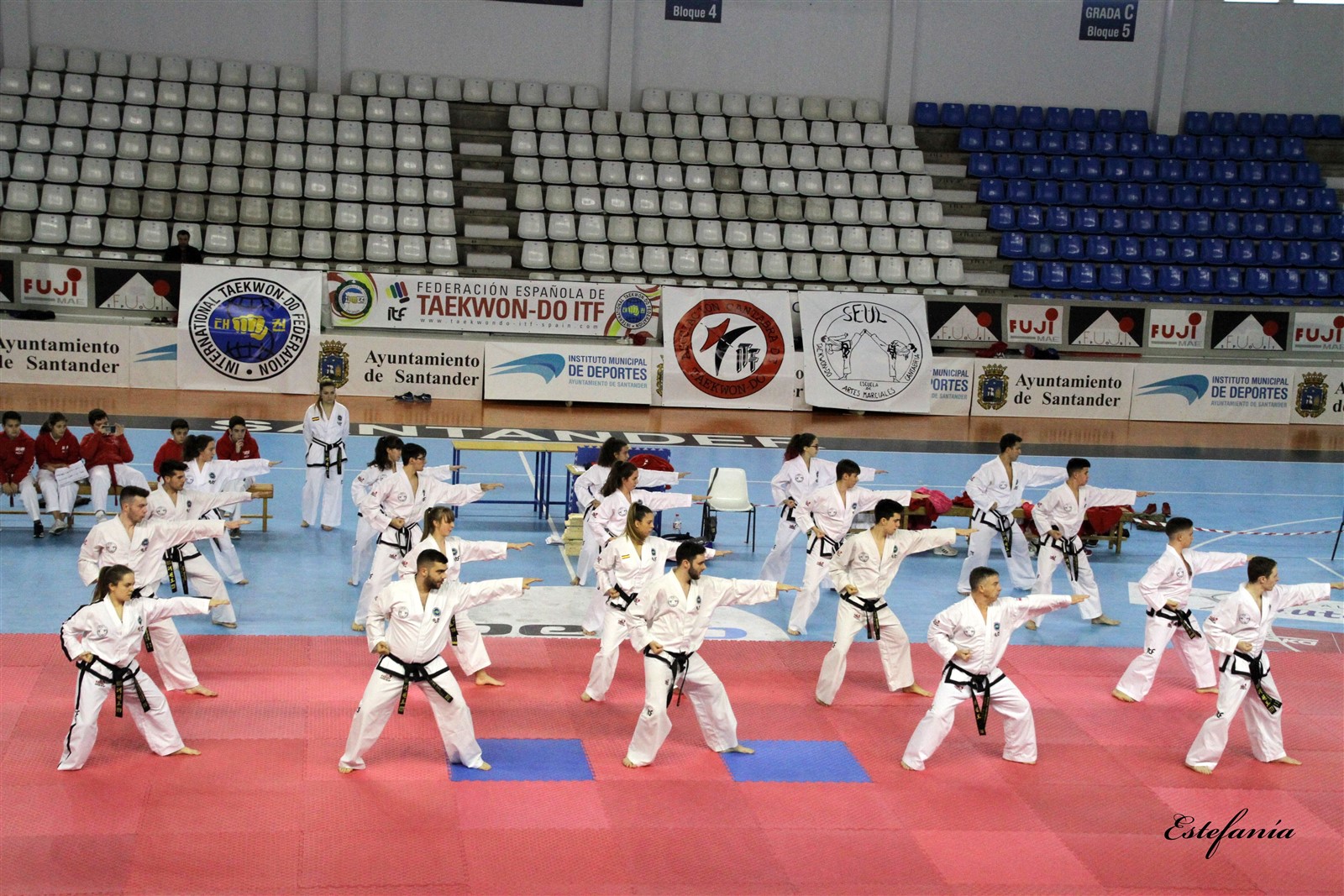 Taekwondo (207).jpg